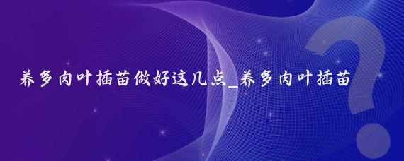 养多肉叶插苗做好这几点_养多肉叶插苗做好这几点可以浇水