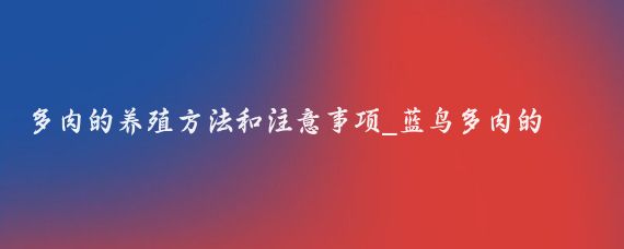 多肉的养殖方法和注意事项_蓝鸟多肉的养殖方法和注意事项