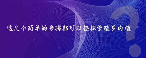 这几个简单的步骤都可以轻松繁殖多肉植物_繁殖多肉怎么繁殖