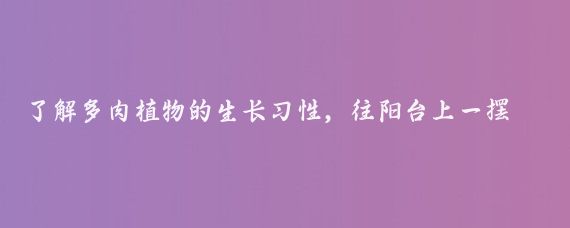 了解多肉植物的生长习性，往阳台上一摆，很快撑破盆！